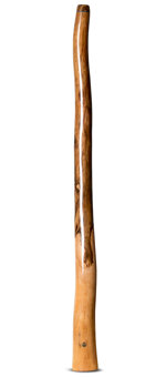 Wix Stix Opal Didgeridoo (WS219)